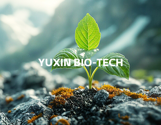 Yuxin